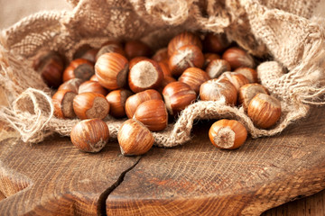 Hazelnuts in burlap sack on wooden backdrop