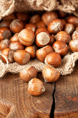 Hazelnuts in burlap sack on wooden backdrop