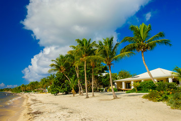 Little Cayman, Cayman Islands, beach of South Hole Sound