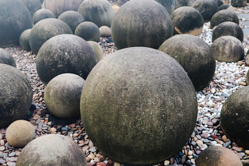 beautiful tree, plant and flowers in the green parks outdoor