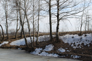 spring landscape with a river covered with ice and trees