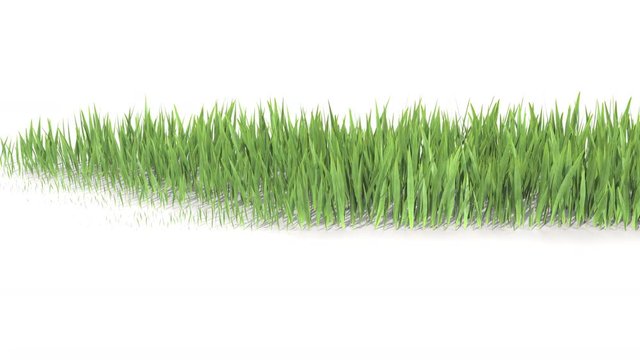Grass growing from right to left. 3D rendering.