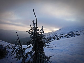 Wschód słońca zimą w górach - Babia Góra, Beskid Żywiecki. Śnieżne góry © Michal