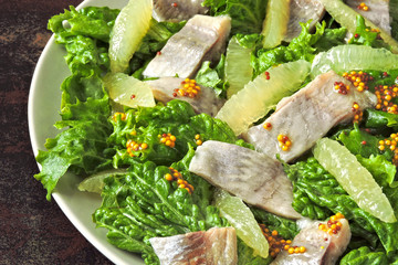 Salad with herring fillet, lemon and lettuce. Healthy food. Keto diet. Keto Salad