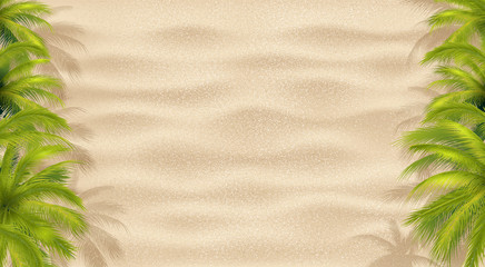 Fototapeta na wymiar Beach Sand And Palms