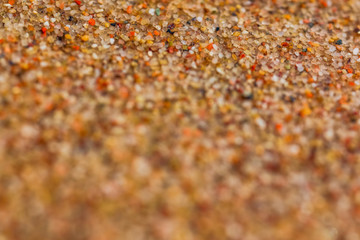 Nature in Macro - macro view of nature in early spring tmie, Poland.