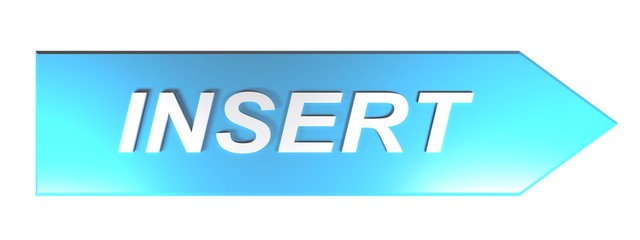 INSERT on blue arrow - 3D rendering
