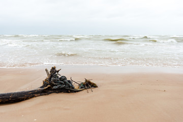 Fototapeta na wymiar storm weather on the beach by rocky sea shore