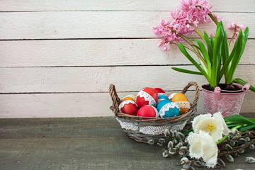 Wielkanocne tło - hiacynt, kolorowe pisanki w koszyku