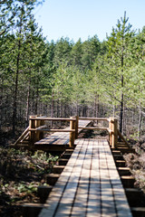 beautiful new wooden board walk for tourists