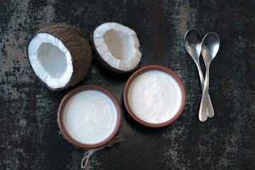 Coconut Yogurt Probiotics, fermented foods. Vegan yogurt. Keto diet.