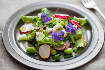 Spring salad with radish, broad beans and violets