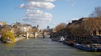 Deurstickers Paris, France - March 11, 2019: View of Seine River, Cite Island and bridge Pont Neuf © JEROME LABOUYRIE