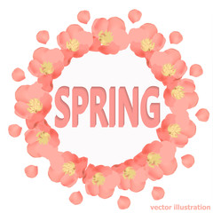 Bright spring background. Background with beautiful colorful flowers. Vector Illustration.