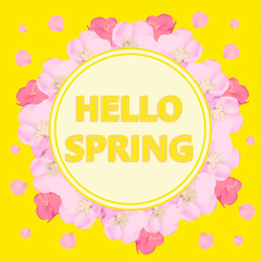 Bright hello spring background. Background with beautiful colorful flowers. Illustration with yellow background.
