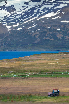 August  in western Iceland