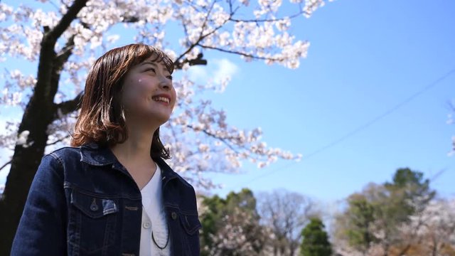 桜と女性と青空・イメージ