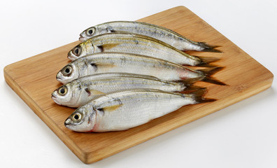 Fresh Caught Bogue Fish Or Boops Boops fish on wooden cutting board