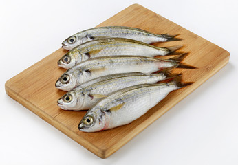 Fresh Caught Bogue Fish Or Boops Boops fish on wooden cutting board
