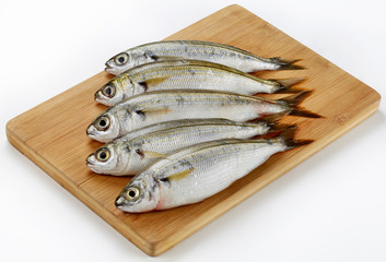 Fresh Caught Bogue Fish Or Boops Boops fish on wooden cutting board
