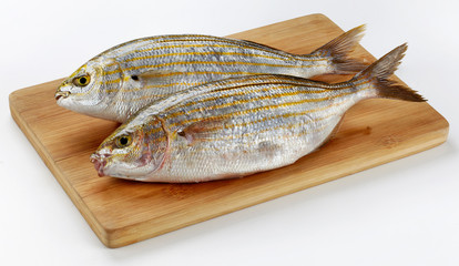 Fresh Salema porgy - sarpa fish on wooden cutting board