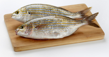 Fresh Salema porgy - sarpa fish on wooden cutting board