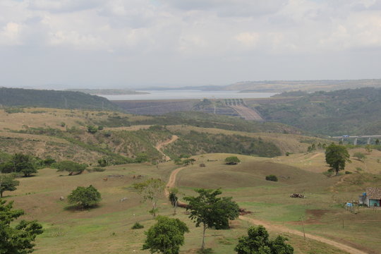 Maragogipe