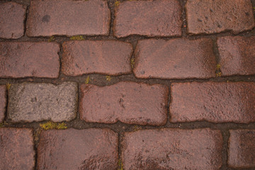 Stone road cobble texture background