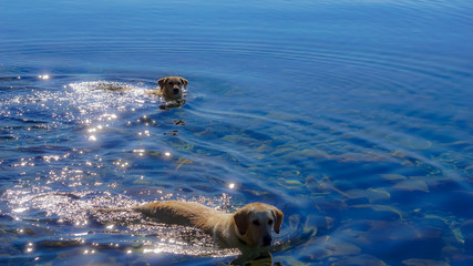 Recreacion en el lago Nahuel Huapi 