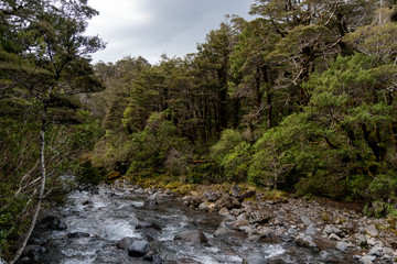 Naklejka na ściany i meble Wairere stream river in Tongariro National Park in New Zealand