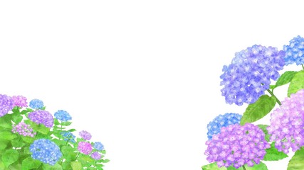 あじさいのイラスト　水彩調