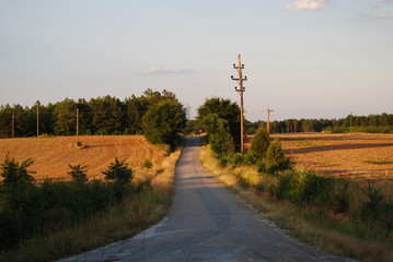 Lonely country road in countryside