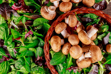 Champignon mushrooms, shot from the top on a rustic wood board with fresh leaves