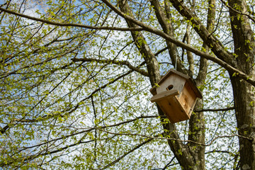 bird house on the tree