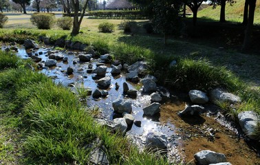 景色　小川　木　公園　とちぎ