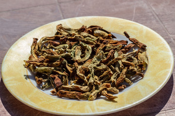 an isolated side view shoot to dried pepper