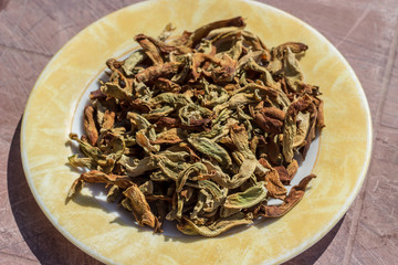 an isolated side view shoot to dried pepper