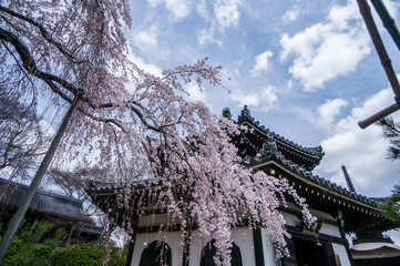 善峯寺　
