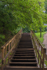 Wooden ladder in the park