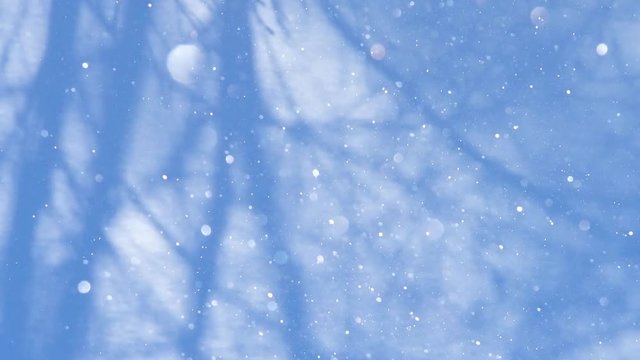 雪原とダイアモンドダスト
