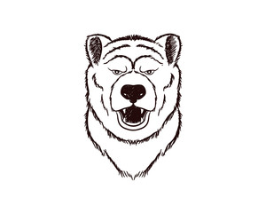 hand drawn sketch of bear head in retro style