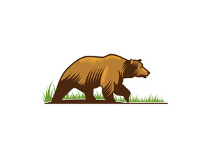 Fototapeta na wymiar Brown mature bear walking alone on the grass field in linocut drawing style