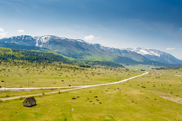 Mountain Landscape Bosnia And Herzegovina