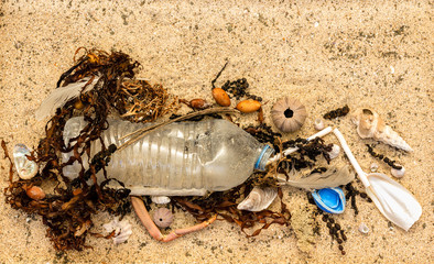 Real plastic bottle, with cap and plastic straw washed up on beach mixed with seaweed shells and feathers. Single use plastic pollution