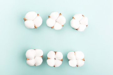 A frame made from cotton flowers on light green background.