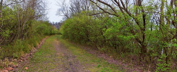 Views of Nature and Pathways along the Shelby Bottoms Greenway and Natural Area Cumberland River frontage trails, bottomland hardwood forests, open fields, wetlands, and streams, Nashville, Tennessee.