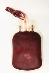 Full blood bag for accident's patient in the plate on white background at blood bank unit...