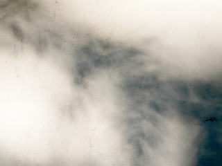 The shadow of leaves on the wall.