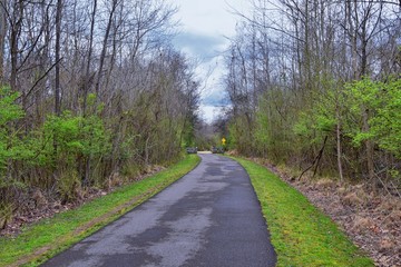 Fototapeta premium Views of Nature and Pathways along the Shelby Bottoms Greenway and Natural Area Cumberland River frontage trails, bottomland hardwood forests, open fields, wetlands, and streams, Nashville, Tennessee.