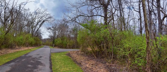 Views of Nature and Pathways along the Shelby Bottoms Greenway and Natural Area Cumberland River frontage trails, bottomland hardwood forests, open fields, wetlands, and streams, Nashville, Tennessee.